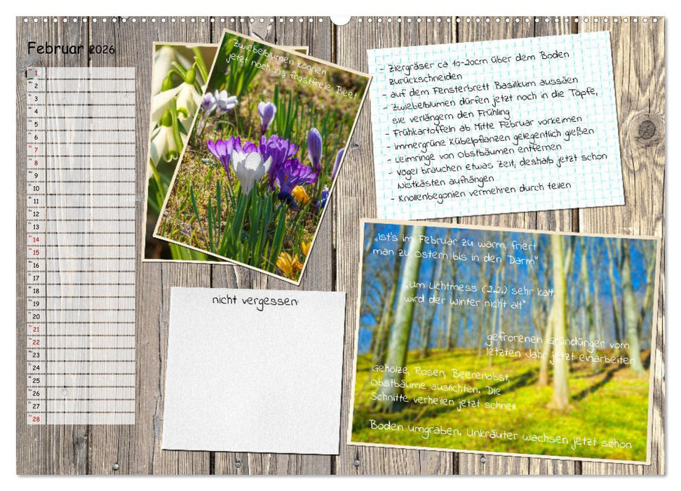 Was ist noch im Garten zu tun? (CALVENDO Wandkalender 2026)