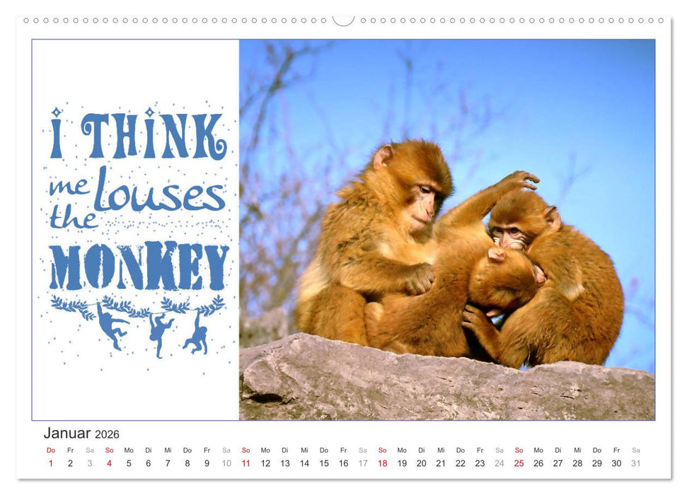 Tierisch Denglisch (CALVENDO Wandkalender 2026)