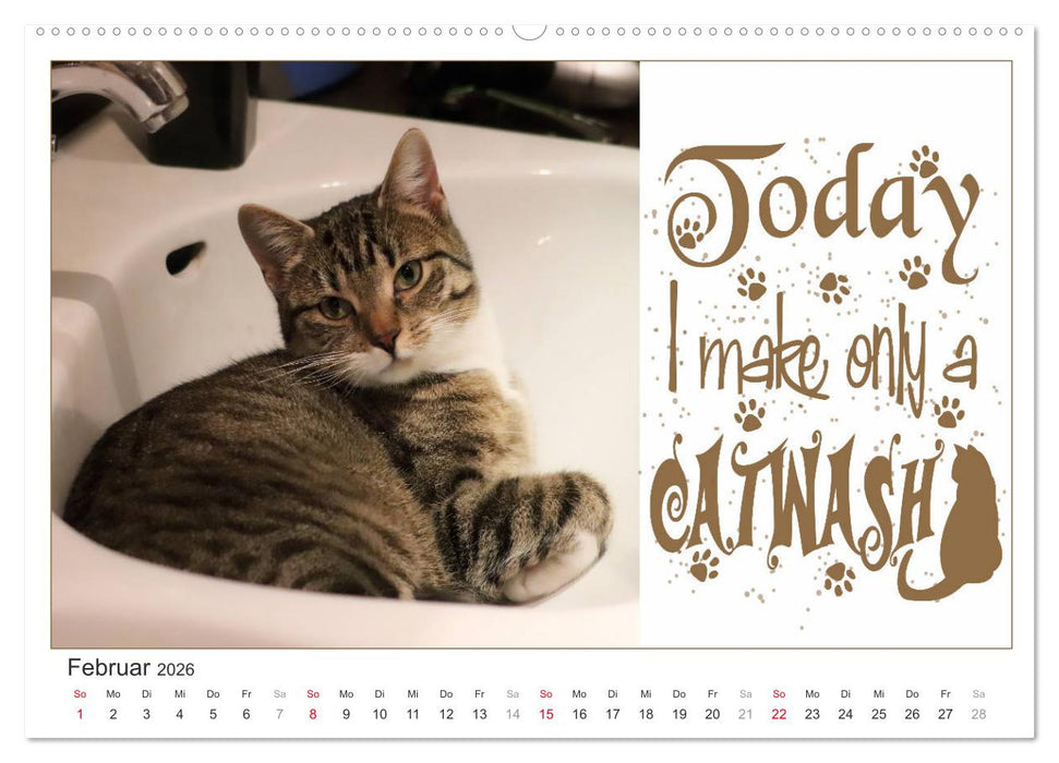 Tierisch Denglisch (CALVENDO Wandkalender 2026)