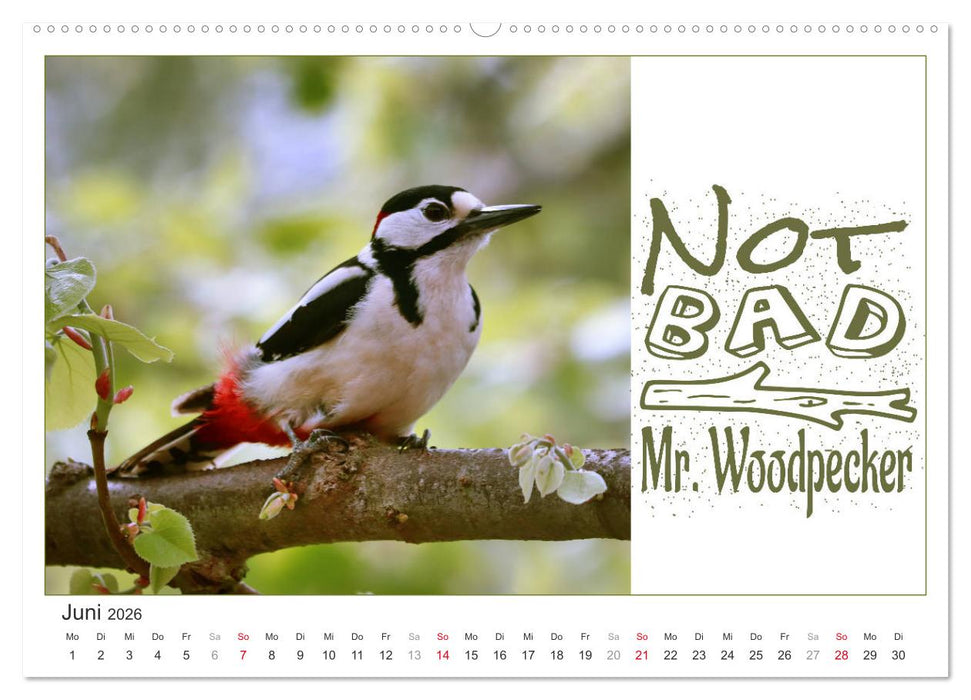 Tierisch Denglisch (CALVENDO Wandkalender 2026)