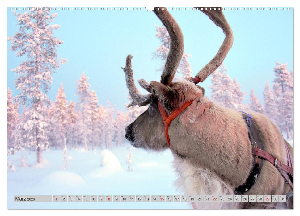 Zauberhaftes Finnland (CALVENDO Premium Wandkalender 2026)