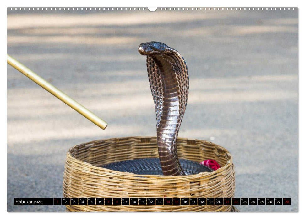 Indien - im Meer der Farben (CALVENDO Premium Wandkalender 2026)