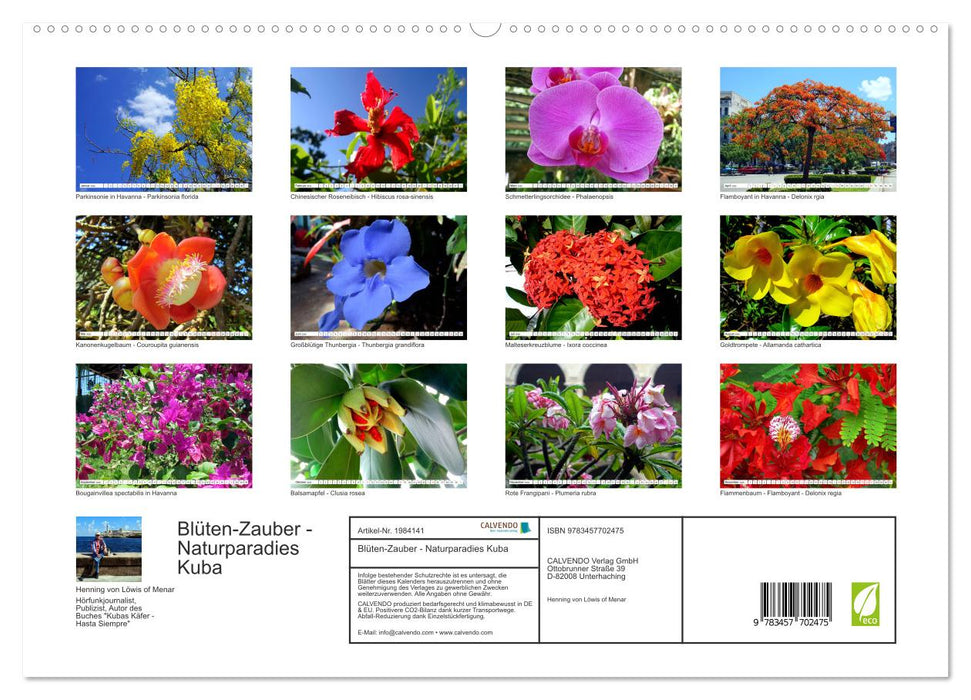 Blüten-Zauber - Naturparadies Kuba (CALVENDO Premium Wandkalender 2026)