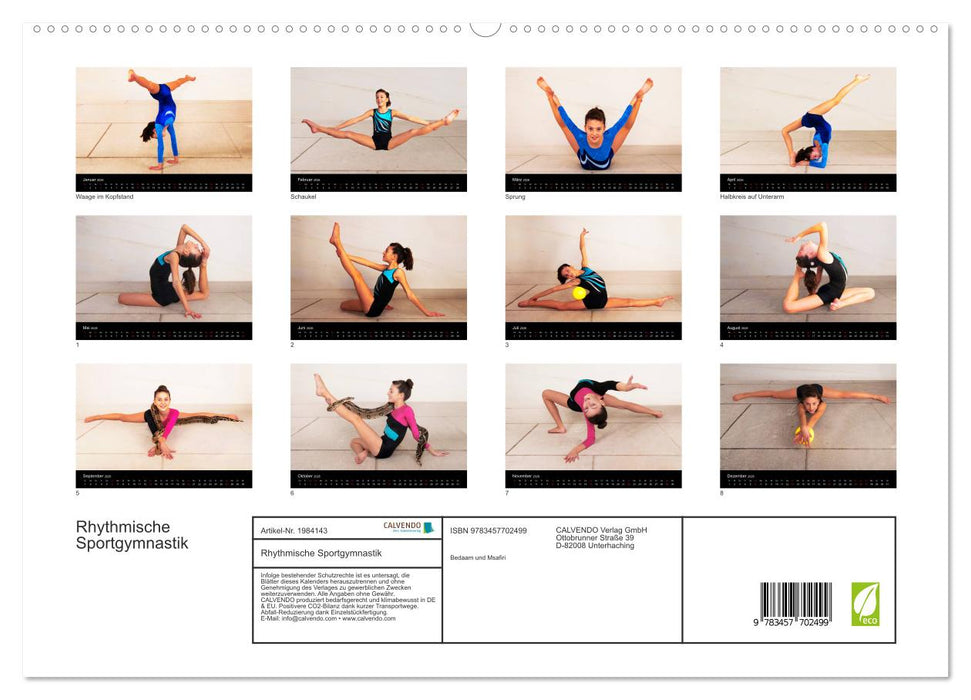 Rhythmische Sportgymnastik (CALVENDO Premium Wandkalender 2026)