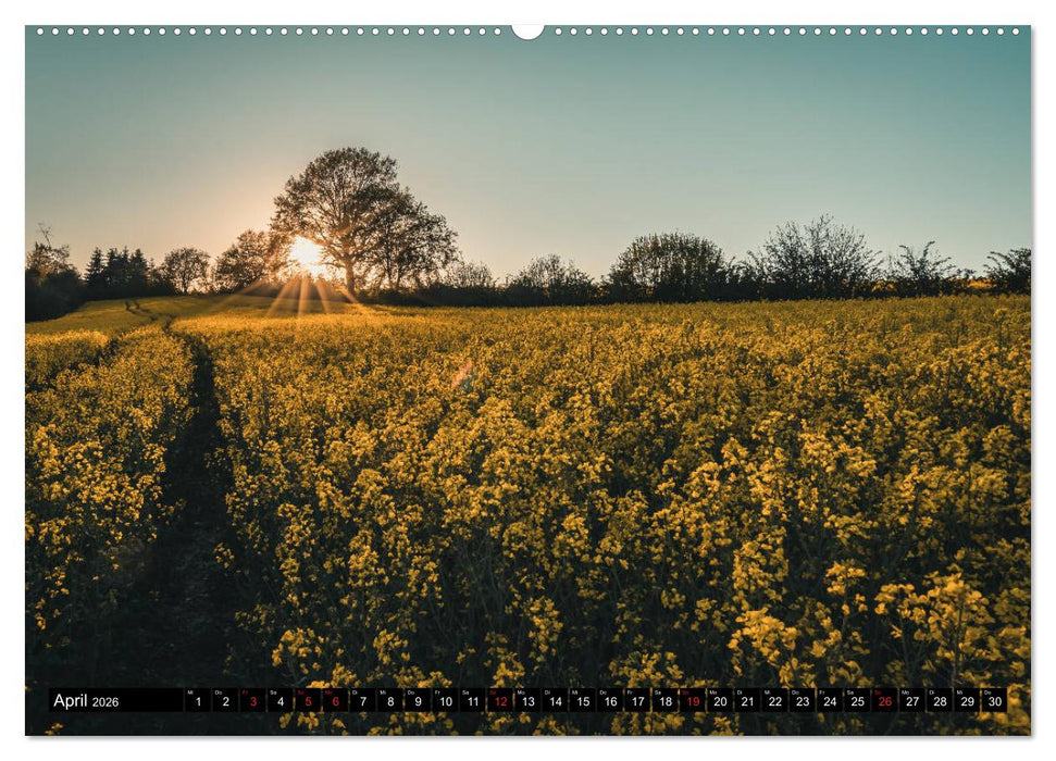Das Münsterland - Meine Impressionen (CALVENDO Wandkalender 2026)
