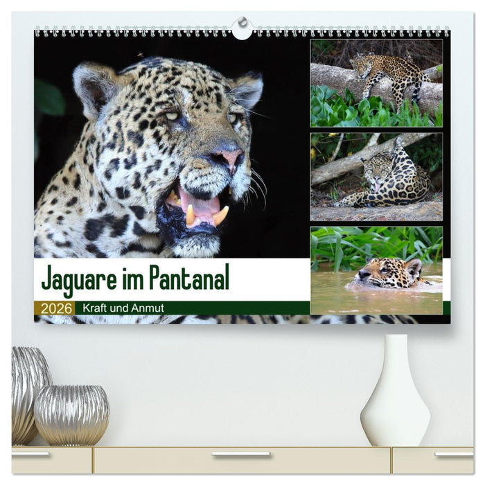 Jaguare im Pantanal (CALVENDO Premium Wandkalender 2026)