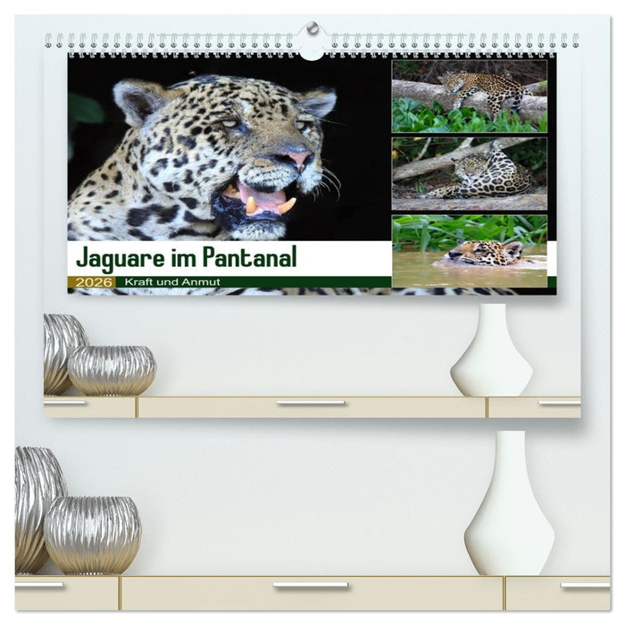 Jaguare im Pantanal (CALVENDO Premium Wandkalender 2026)