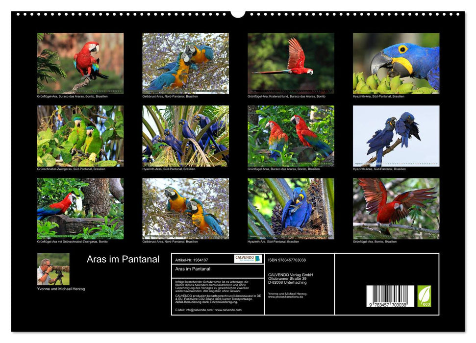 Aras im Pantanal (CALVENDO Premium Wandkalender 2026)