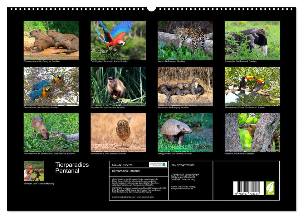 Tierparadies Pantanal (CALVENDO Premium Wandkalender 2026)