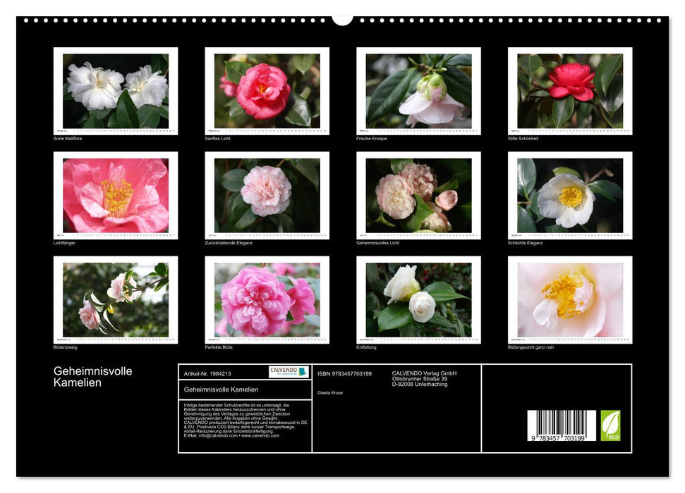 Geheimnisvolle Kamelien (CALVENDO Premium Wandkalender 2026)