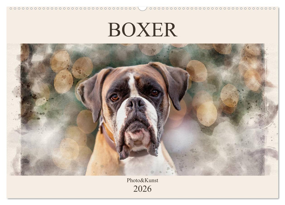 Boxer Photo&Kunst (CALVENDO Wandkalender 2026)