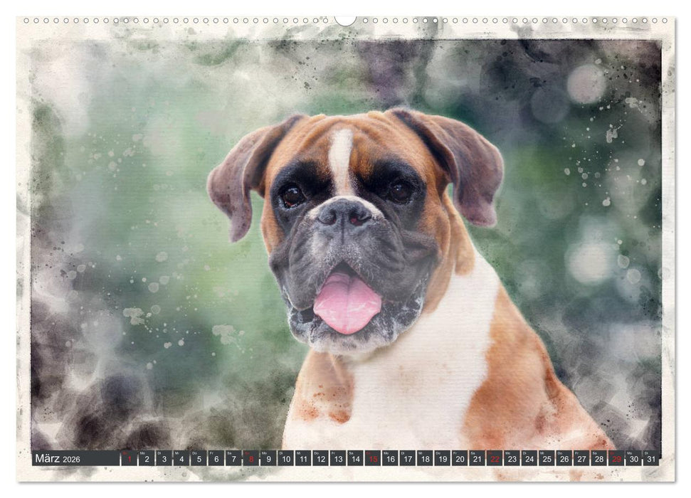 Boxer Photo&Kunst (CALVENDO Wandkalender 2026)