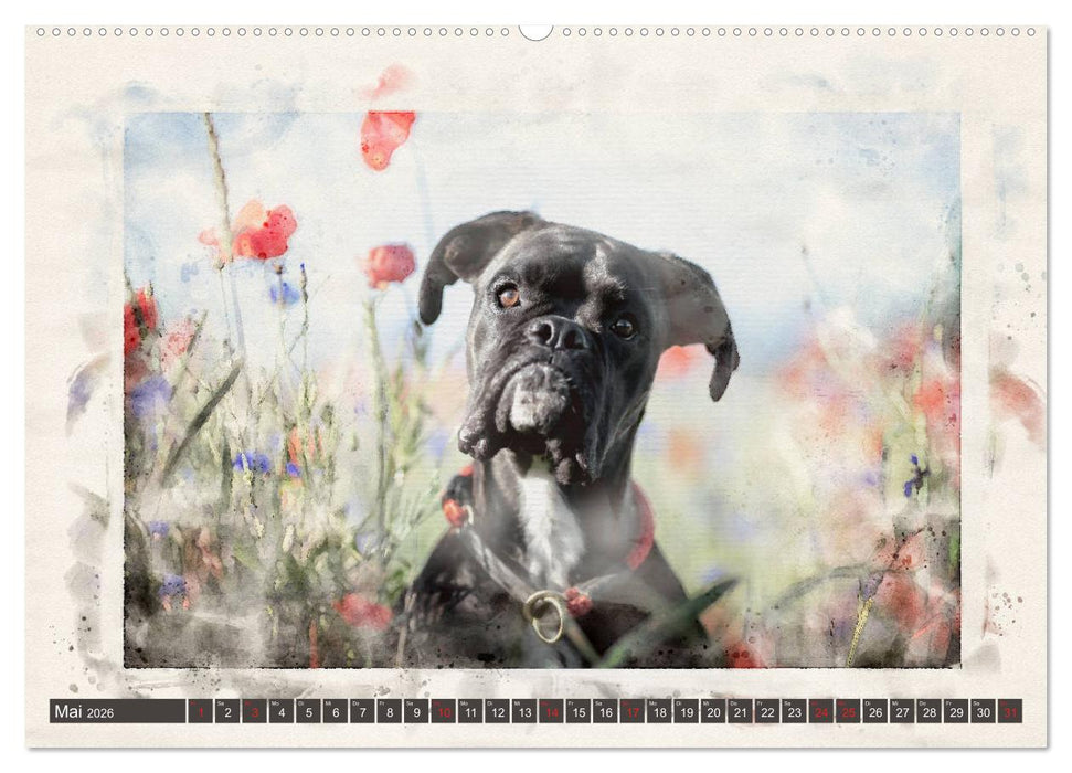 Boxer Photo&Kunst (CALVENDO Wandkalender 2026)