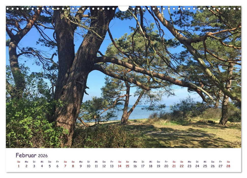 Natur und Landschaft Mecklenburg - Vorpommern 2026 (CALVENDO Wandkalender 2026)