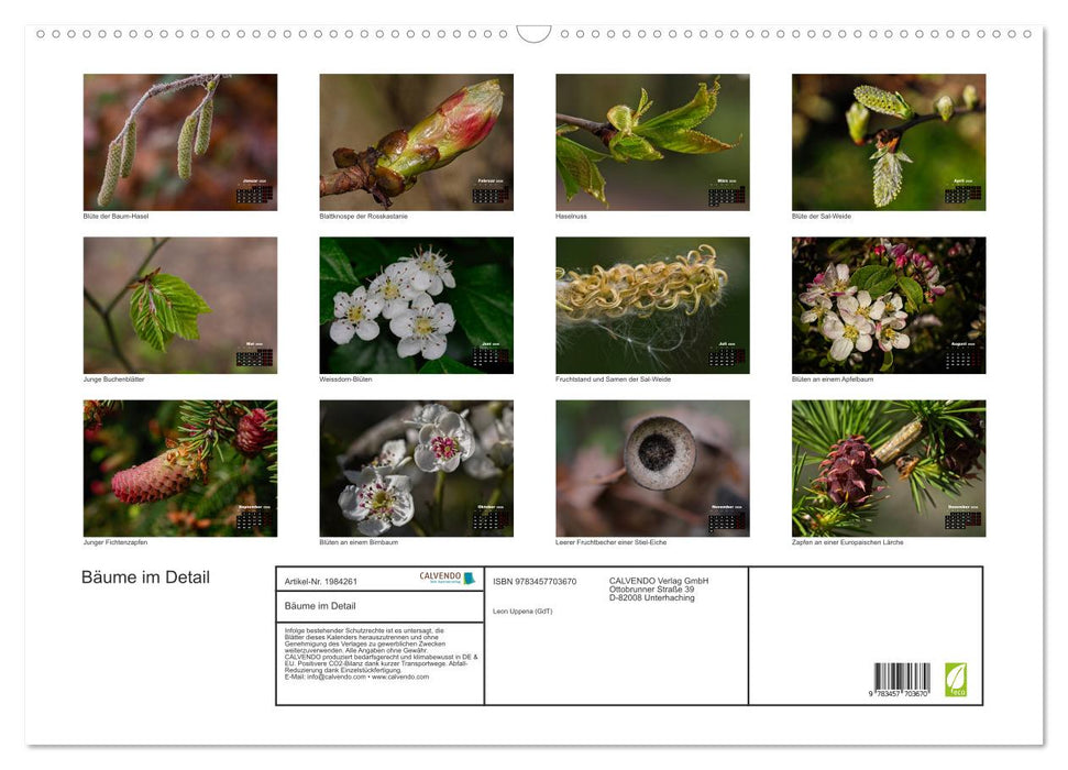 Bäume im Detail (CALVENDO Wandkalender 2026)