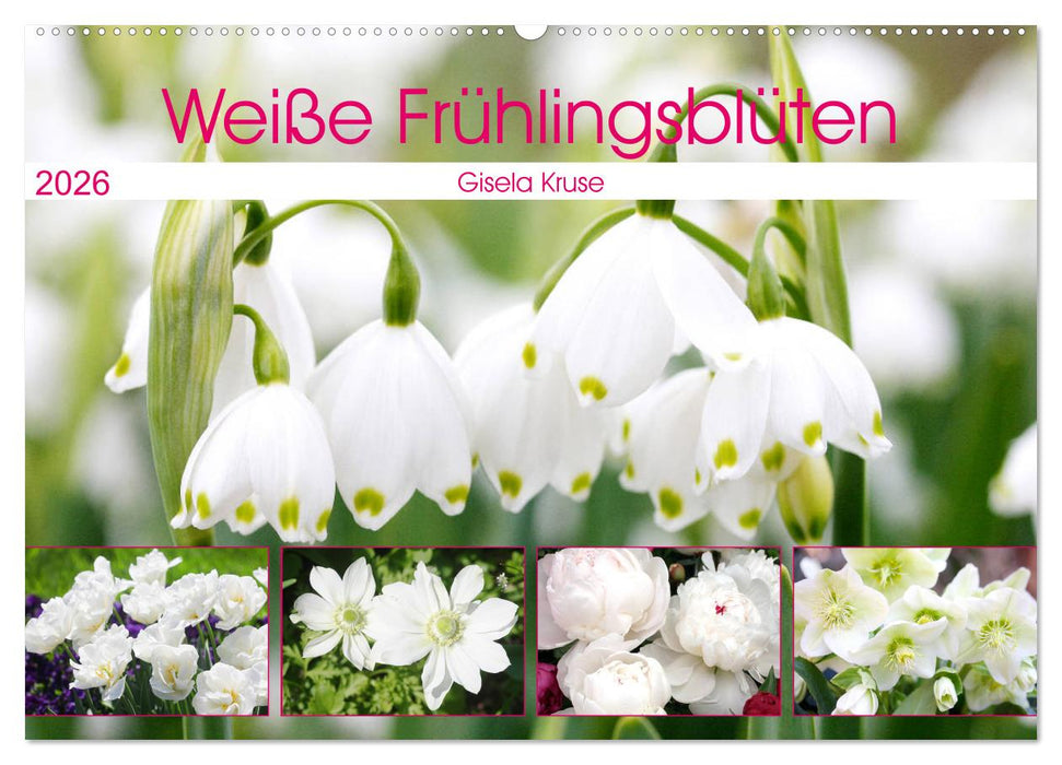 Weiße Frühlingsblüten (CALVENDO Wandkalender 2026)