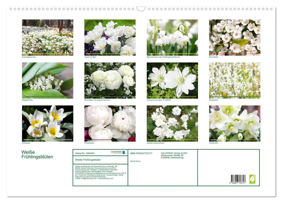 Weiße Frühlingsblüten (CALVENDO Wandkalender 2026)