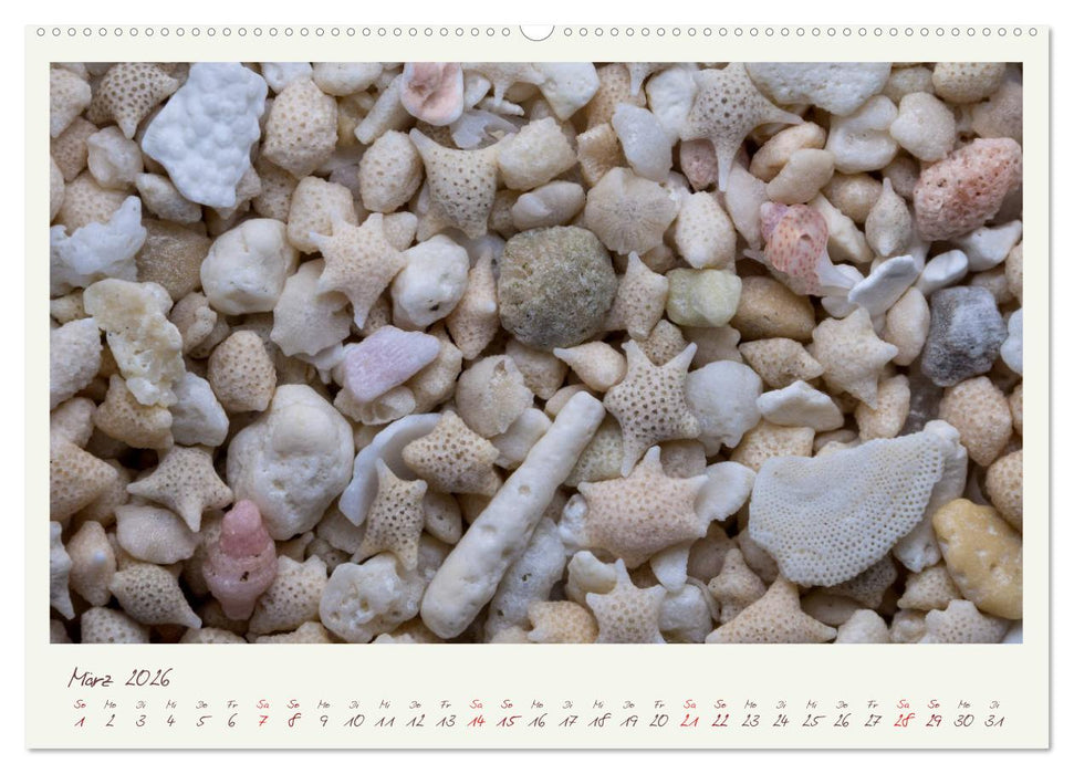 Abenteuer Mikrofotografie Sand (CALVENDO Wandkalender 2026)