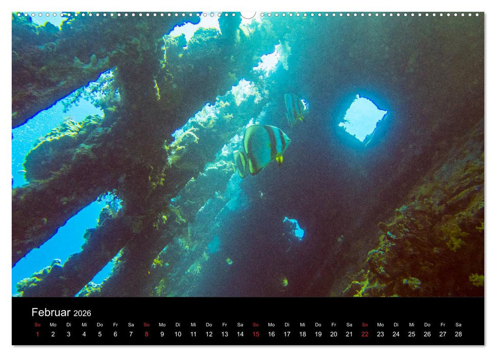 Abu Nuhas - Wracks im Roten Meer (CALVENDO Premium Wandkalender 2026)