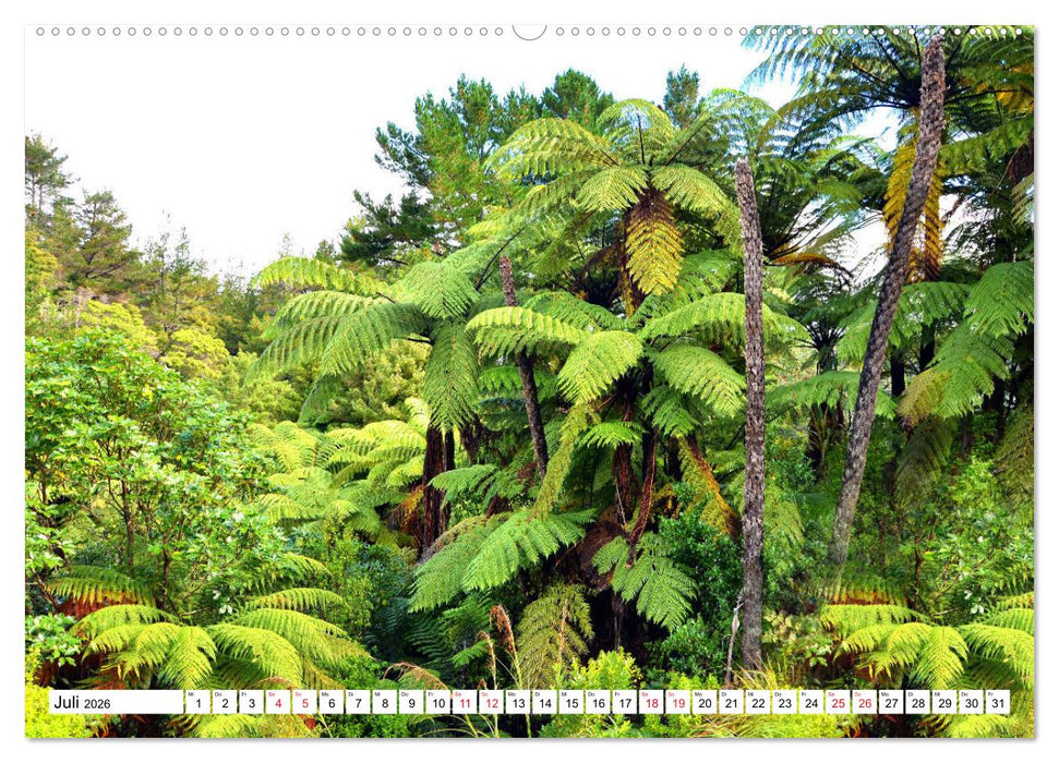 Neuseeland Nordinsel - faszinierende Orte am anderen Ende der Welt (CALVENDO Premium Wandkalender 2026)