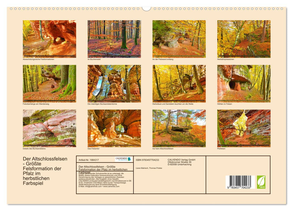 Der Altschlossfelsen - Größte Felsformation der Pfalz im herbstlichen Farbspiel (CALVENDO Premium Wandkalender 2026)