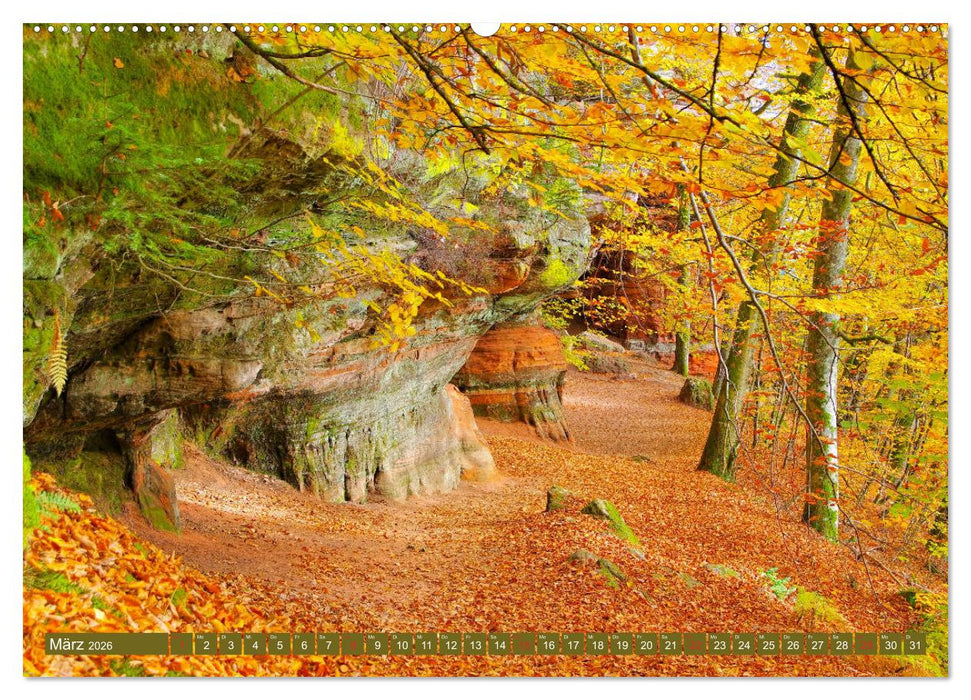 Der Altschlossfelsen - Größte Felsformation der Pfalz im herbstlichen Farbspiel (CALVENDO Premium Wandkalender 2026)