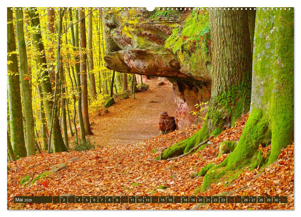 Der Altschlossfelsen - Größte Felsformation der Pfalz im herbstlichen Farbspiel (CALVENDO Premium Wandkalender 2026)