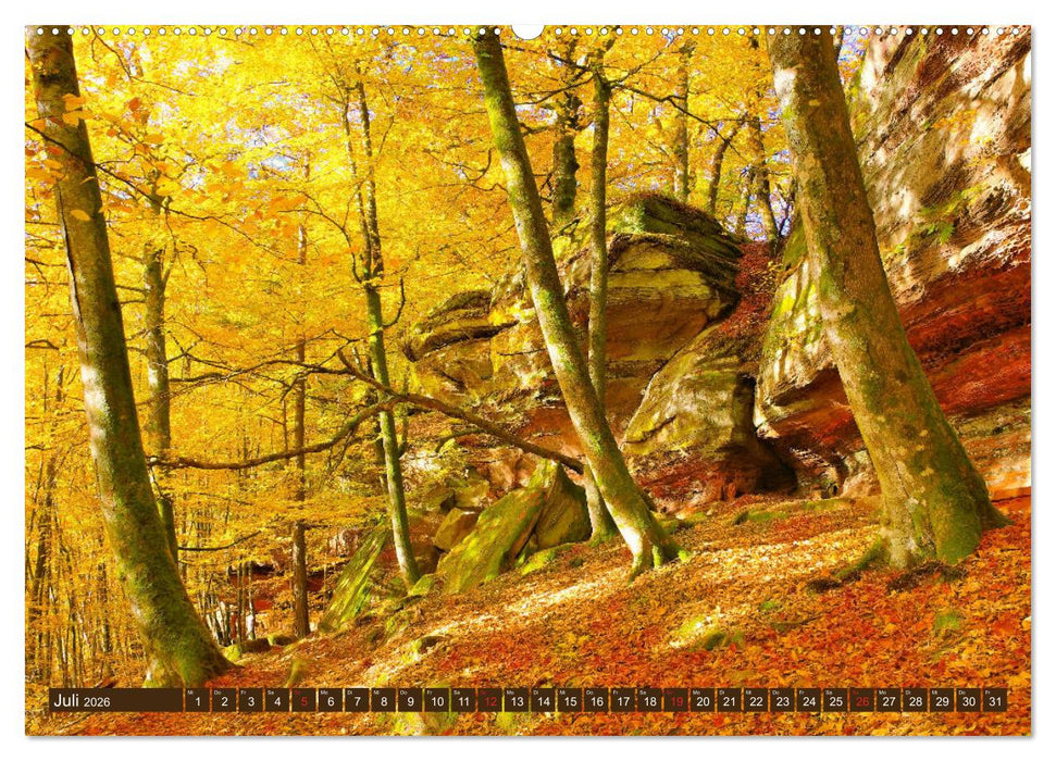 Der Altschlossfelsen - Größte Felsformation der Pfalz im herbstlichen Farbspiel (CALVENDO Premium Wandkalender 2026)