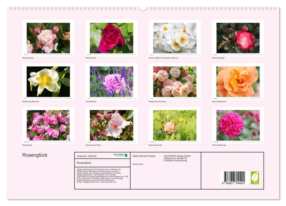 Rosenglück (CALVENDO Premium Wandkalender 2026)