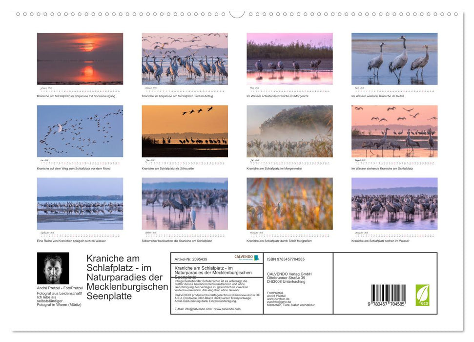 Kraniche am Schlafplatz - im Naturparadies der Mecklenburgischen Seenplatte (CALVENDO Premium Wandkalender 2026)