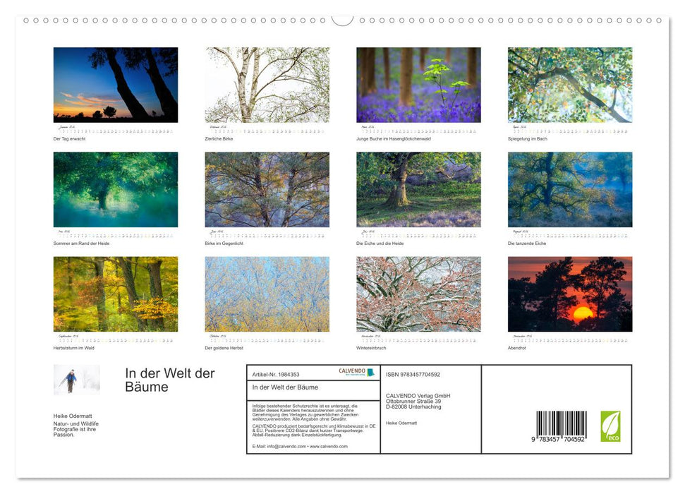 In der Welt der Bäume (CALVENDO Premium Wandkalender 2026)