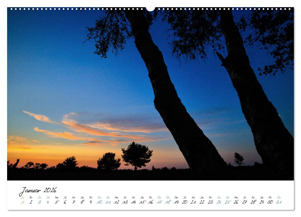 In der Welt der Bäume (CALVENDO Premium Wandkalender 2026)