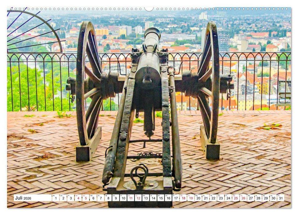Graz - Ausblick auf die Dachlandschaft (CALVENDO Premium Wandkalender 2026)
