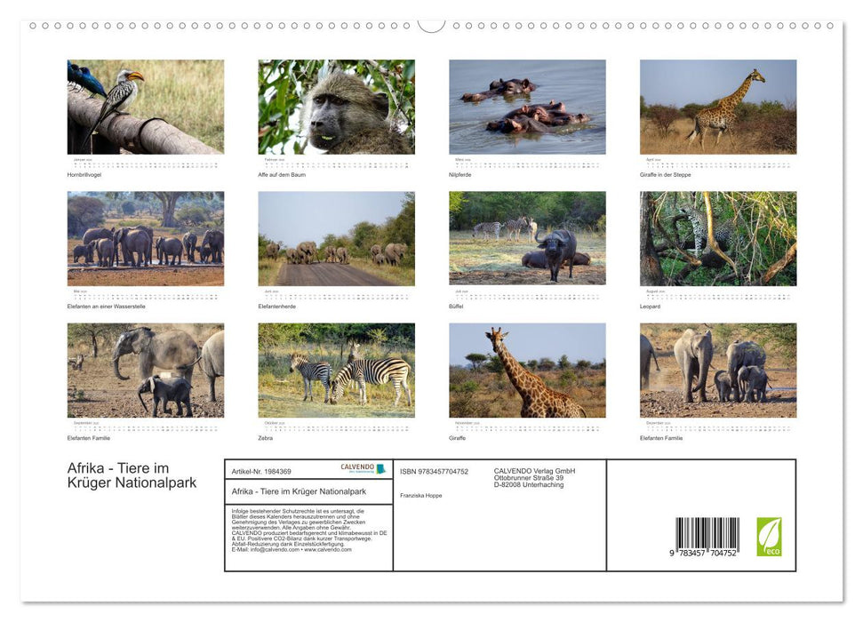 Afrika - Tiere im Krüger Nationalpark (CALVENDO Premium Wandkalender 2026)