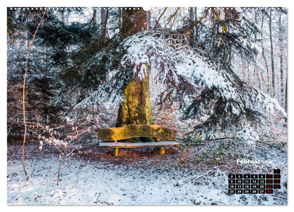 Rund um den Schönbuch (CALVENDO Premium Wandkalender 2026)