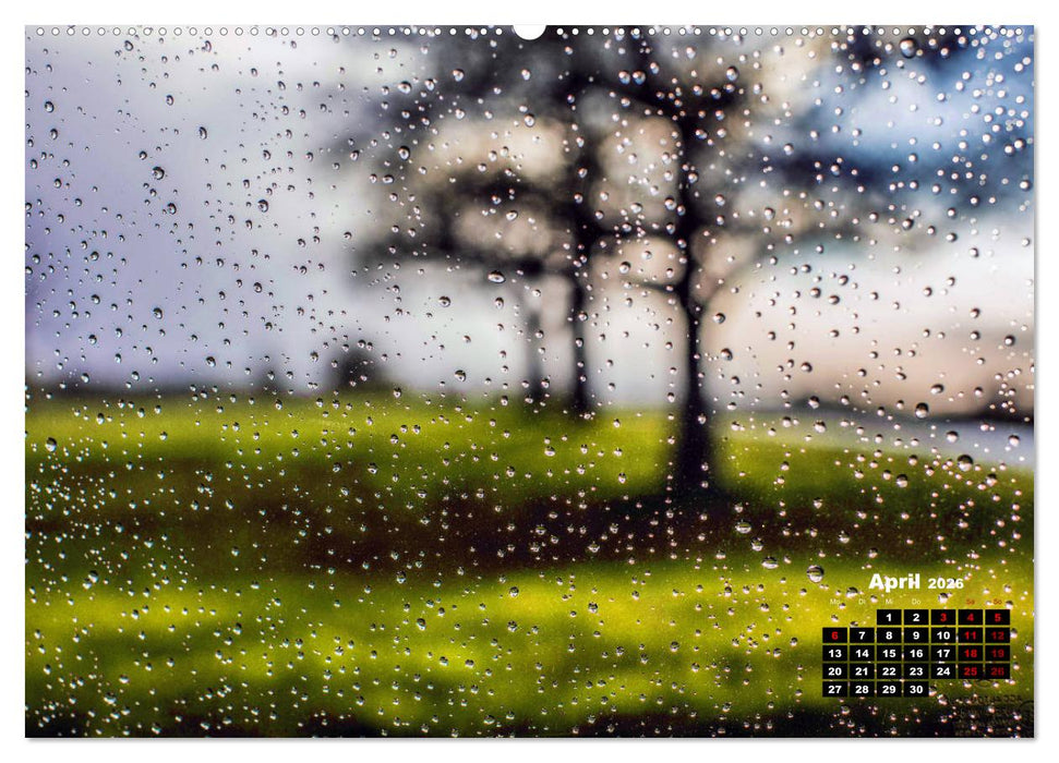 Rund um den Schönbuch (CALVENDO Premium Wandkalender 2026)