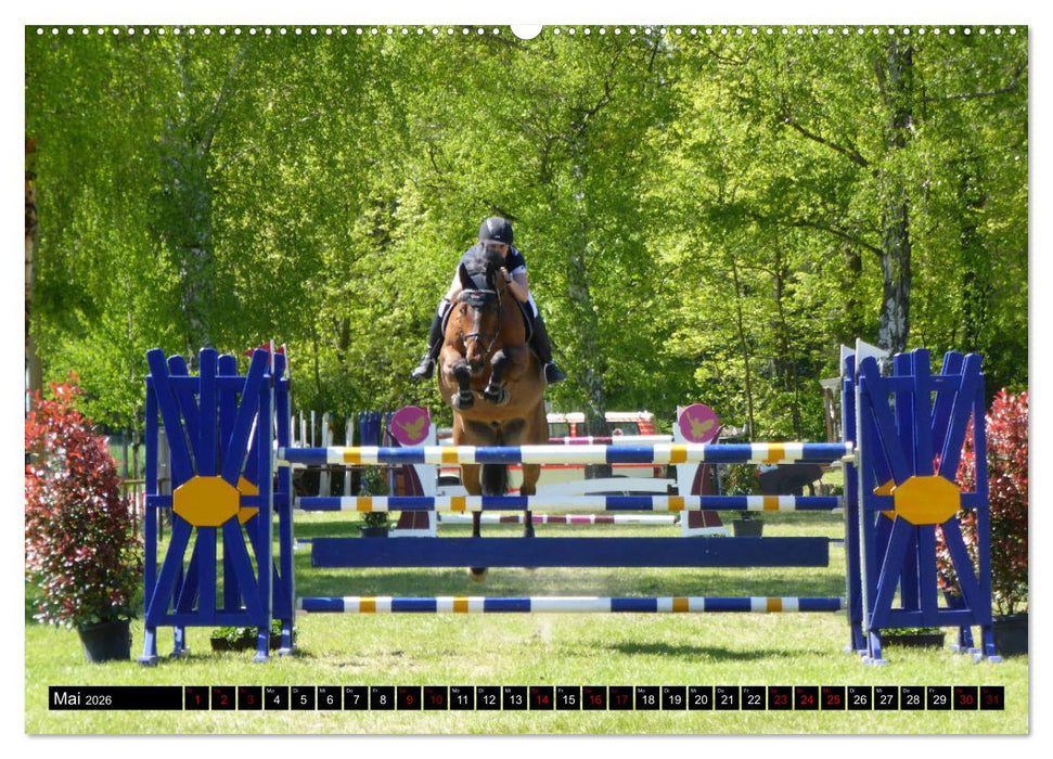 Badisch sympathisch Weingarten (CALVENDO Wandkalender 2026)