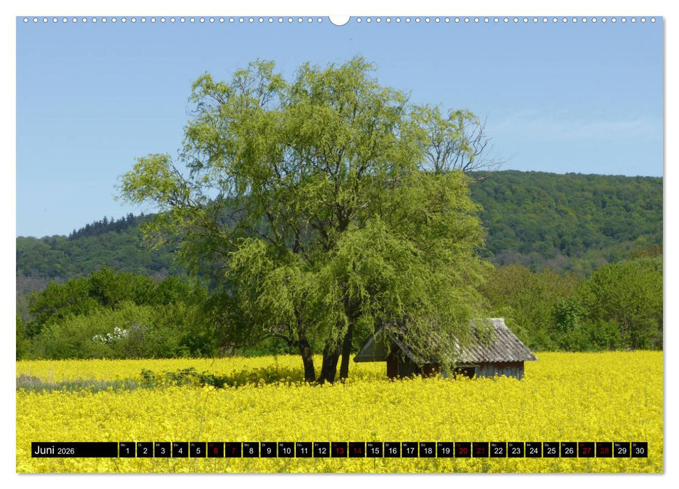 Badisch sympathisch Weingarten (CALVENDO Wandkalender 2026)