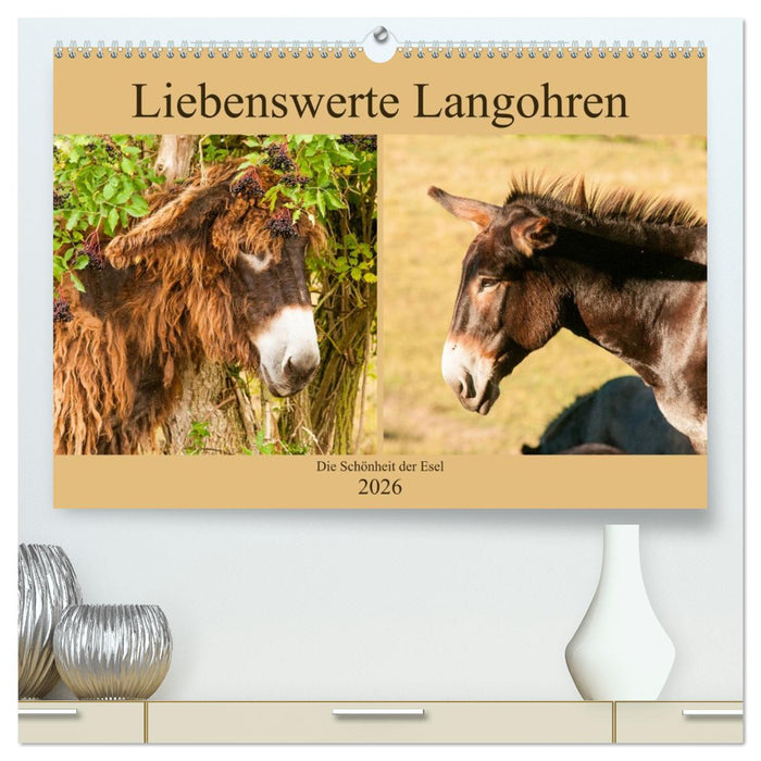 Liebenswerte Langohren - Die Schönheit der Esel (CALVENDO Premium Wandkalender 2026)