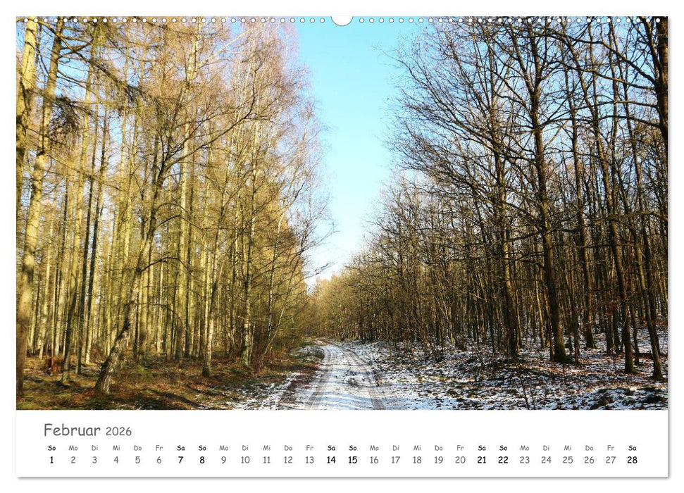 Wald - bezaubernde Wälder (CALVENDO Premium Wandkalender 2026)