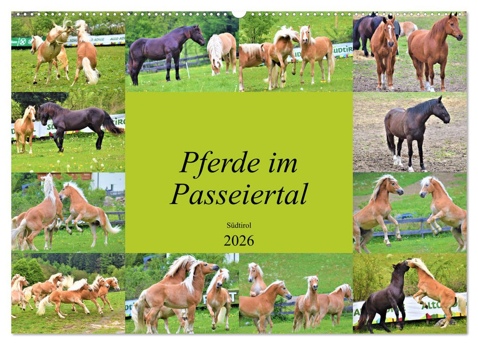 Pferde im Passeiertal (CALVENDO Wandkalender 2026)
