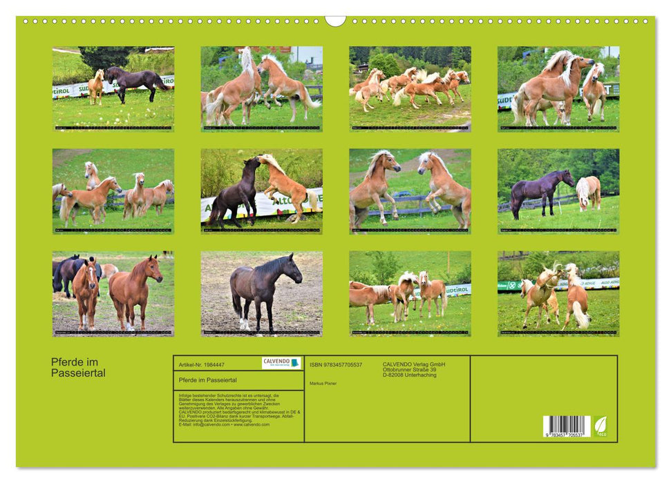Pferde im Passeiertal (CALVENDO Wandkalender 2026)