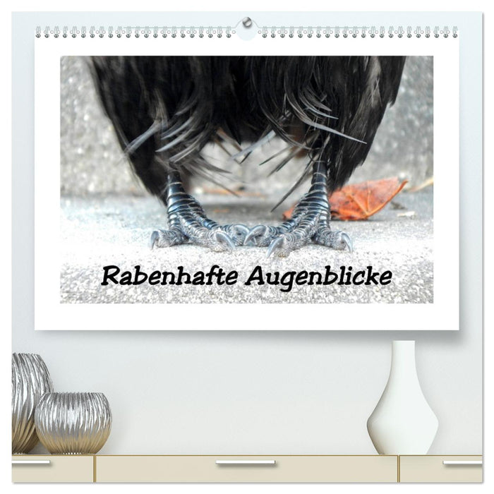 Rabenhafte Augenblicke (CALVENDO Premium Wandkalender 2026)
