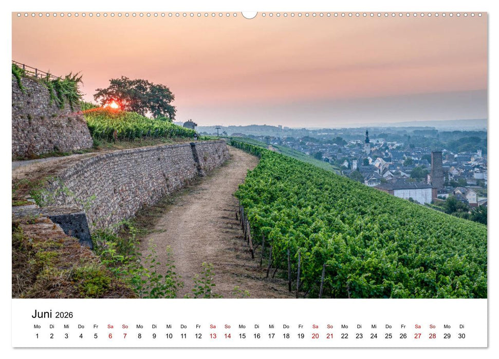 Rheingau 2026 (CALVENDO Premium Wandkalender 2026)