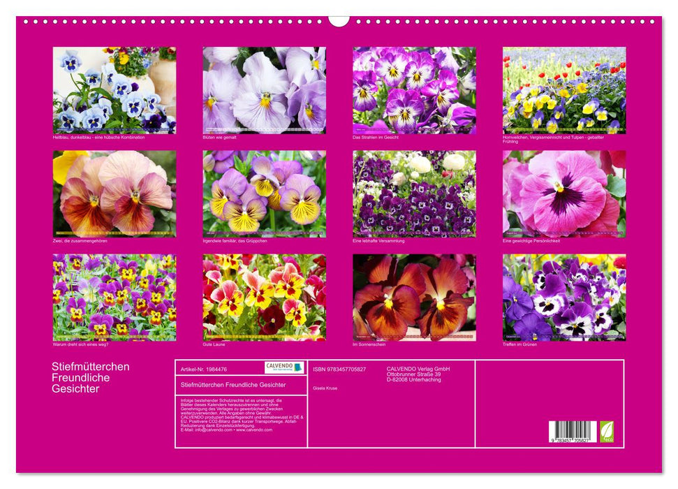 Stiefmütterchen Freundliche Gesichter (CALVENDO Wandkalender 2026)
