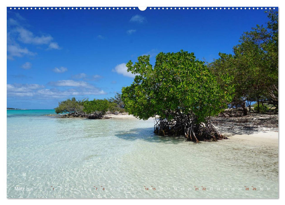 Traumstrände - die schönsten Strände der Welt (CALVENDO Premium Wandkalender 2026)