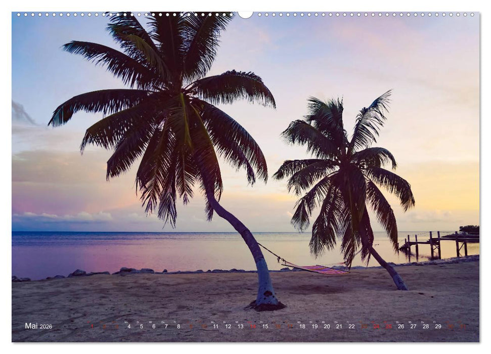 Traumstrände - die schönsten Strände der Welt (CALVENDO Premium Wandkalender 2026)