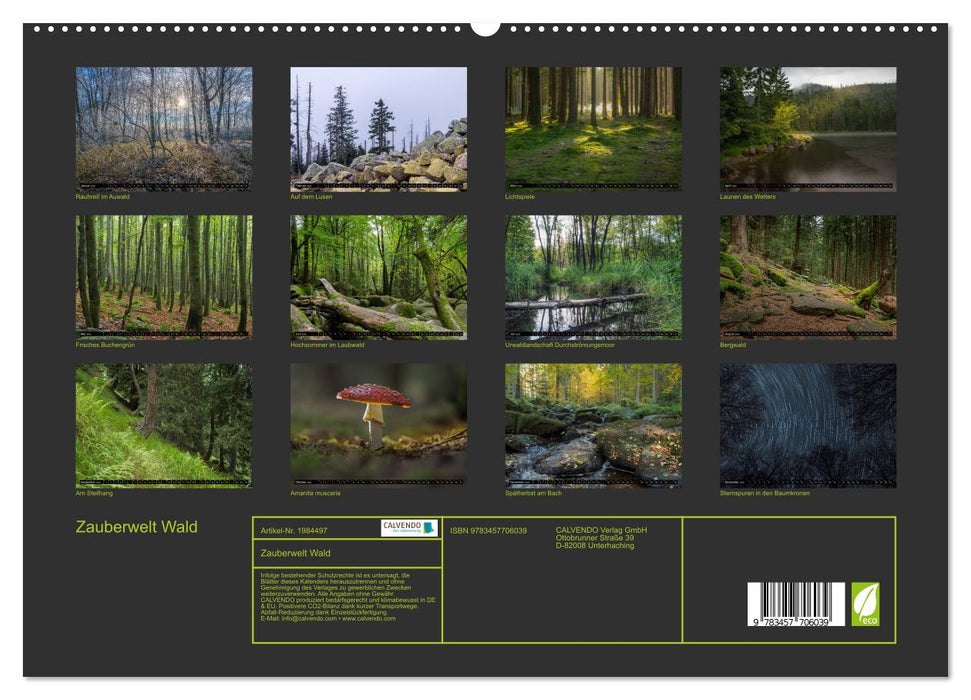 Zauberwelt Wald (CALVENDO Premium Wandkalender 2026)