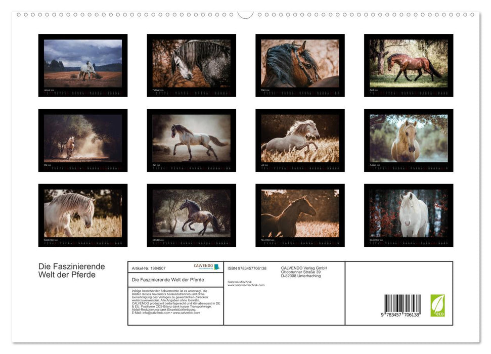 Die Faszinierende Welt der Pferde (CALVENDO Premium Wandkalender 2026)