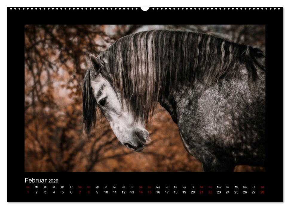 Die Faszinierende Welt der Pferde (CALVENDO Premium Wandkalender 2026)